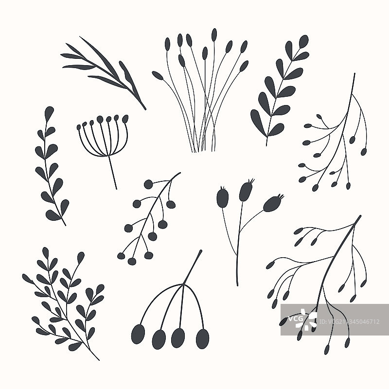 不同树枝的秋季植物标本素材图片素材