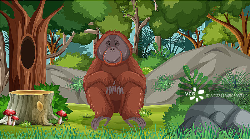 森林或雨林中的猩猩图片素材