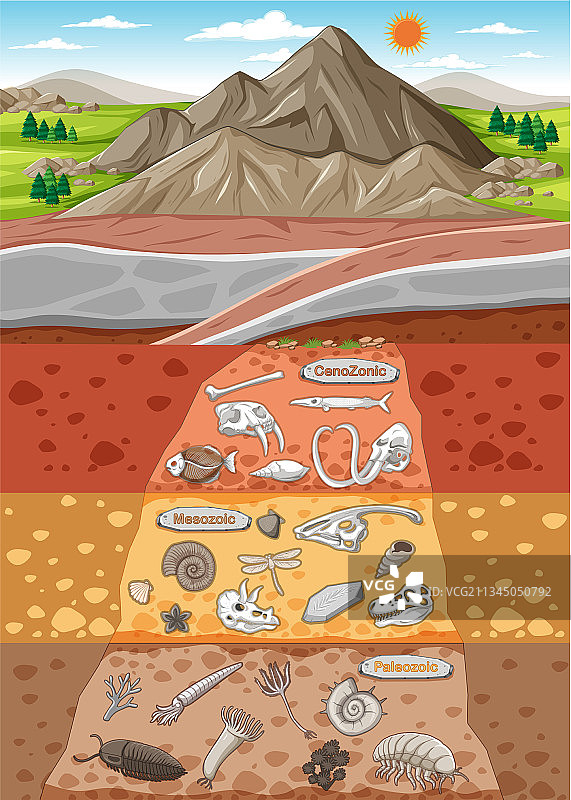 各种动物骨骼和恐龙的场景图片素材