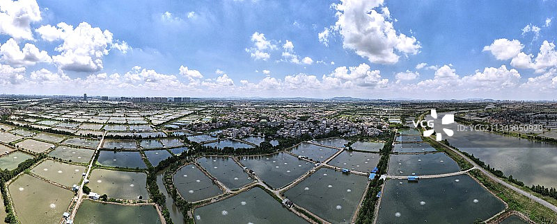 佛山顺德逢简水乡全景图片素材
