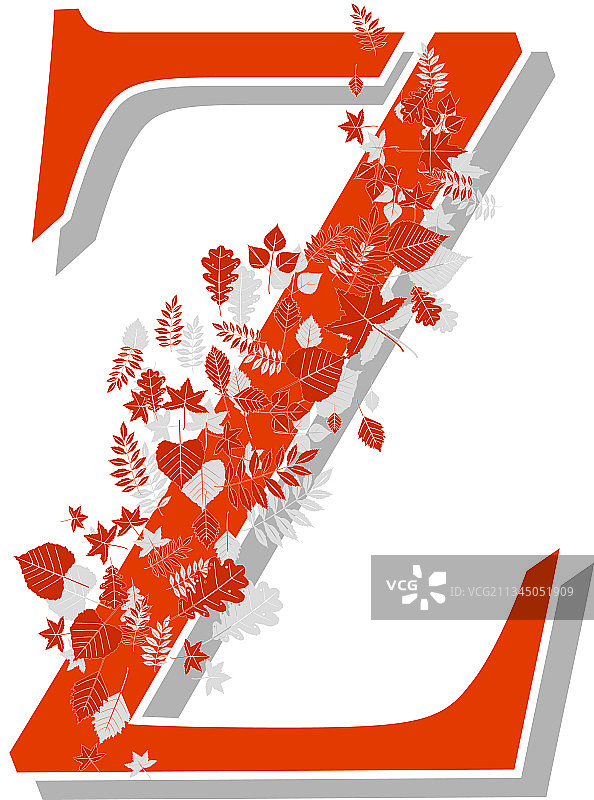 秋季字母Z图片素材