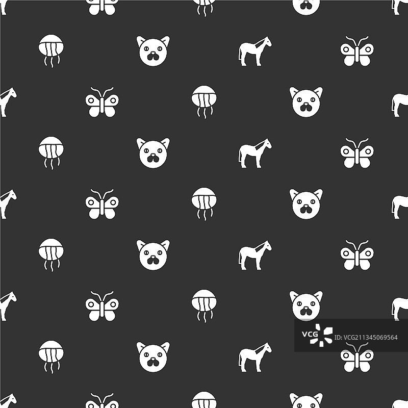 马、蝴蝶、水母和猫图片素材