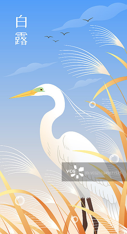 秋天白鹭和芦苇插画图片素材