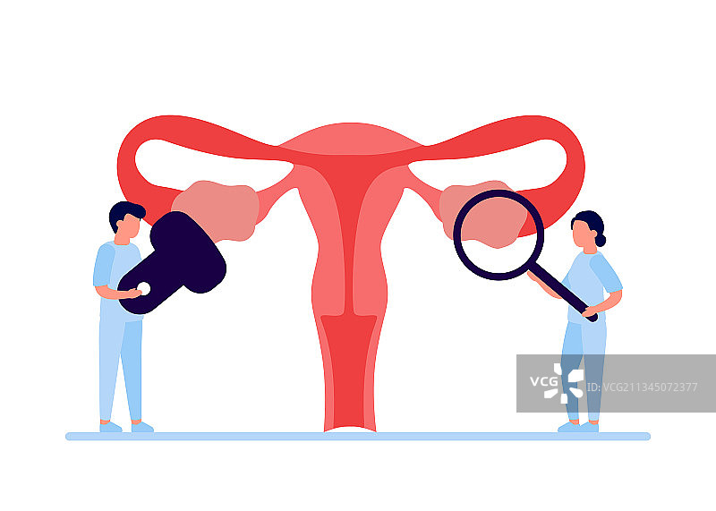 医生检查女性生殖系统图片素材