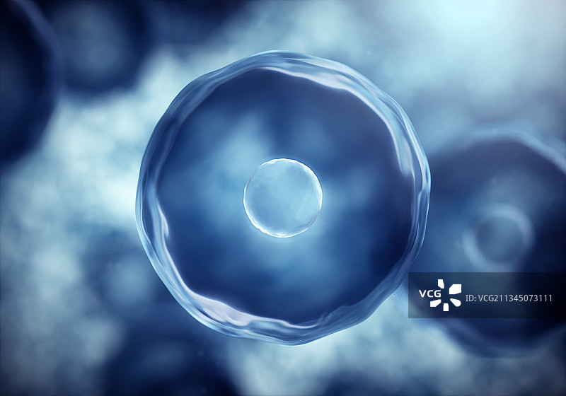 3d渲染的细胞与病毒图片素材