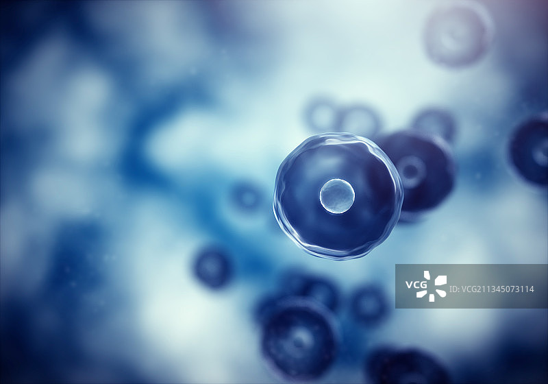 3d渲染的细胞与病毒图片素材