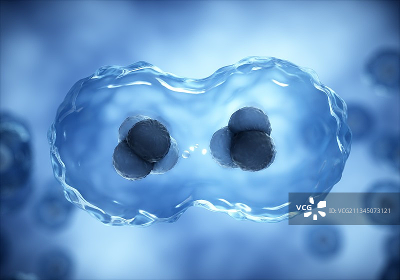 3d渲染的细胞与病毒图片素材