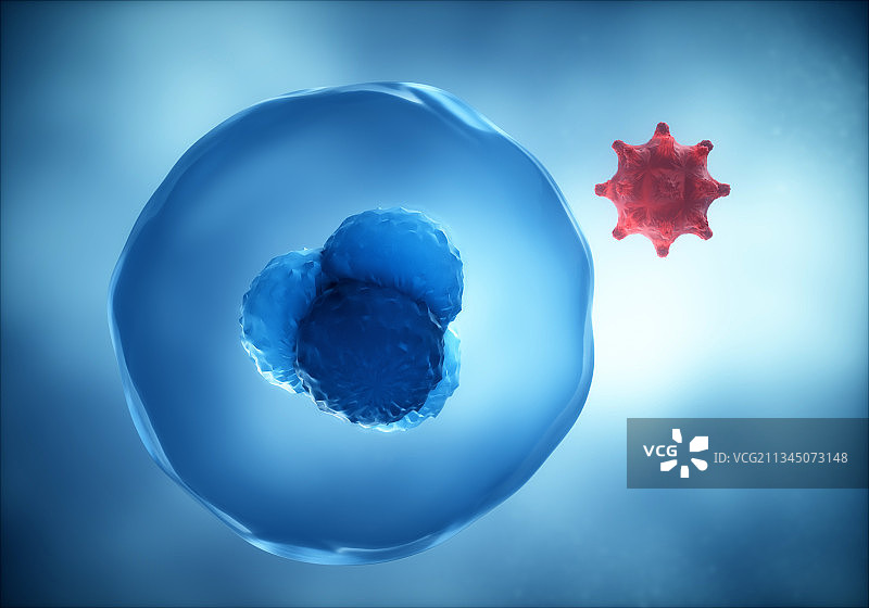 3d渲染的细胞与病毒图片素材