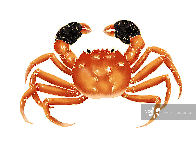 中秋节阳澄湖大闸蟹插画海报图片素材