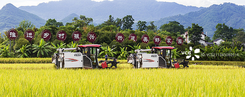 推进乡村振兴，共建美好家园图片素材