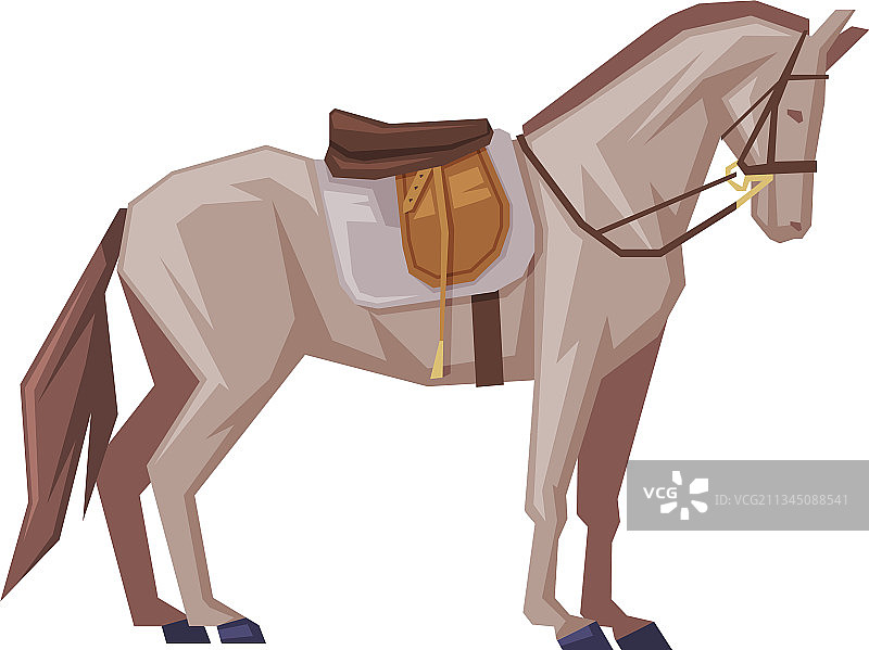 带马鞍的纯种赛马侧视图图片素材
