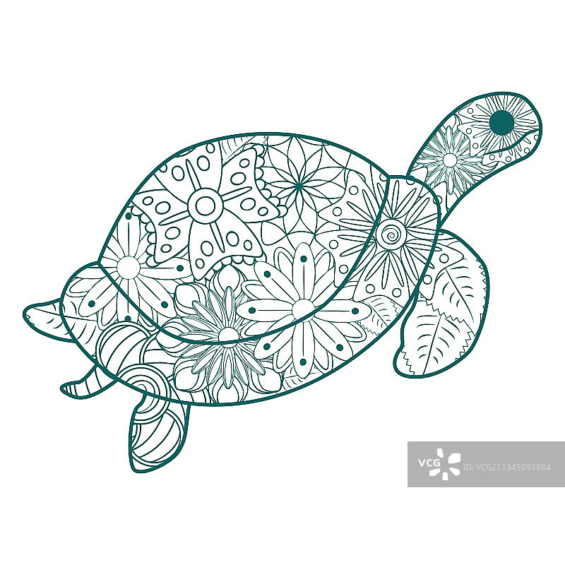手绘乌龟图案图片素材