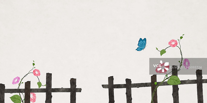 牵牛花蝴蝶篱笆插画图片素材