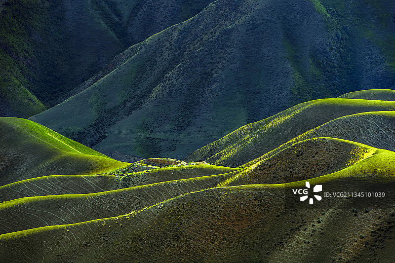 高山草甸图片素材