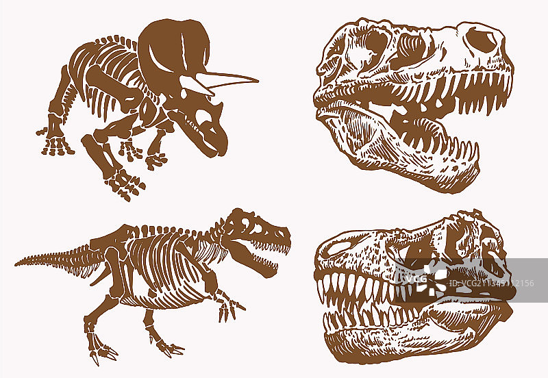 复古风格头骨和骨骼图形图片素材