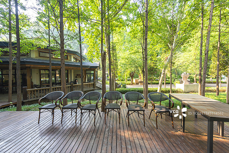 河南郑州黄河风景区思念果岭杉树林及林中休闲娱乐场所图片素材