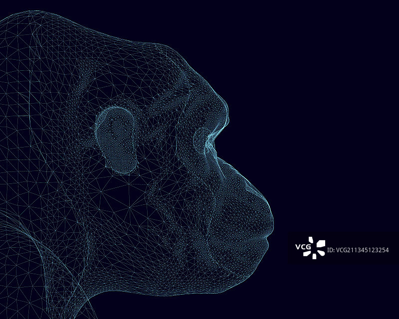 蓝色线条构成的大猩猩头像线框图片素材