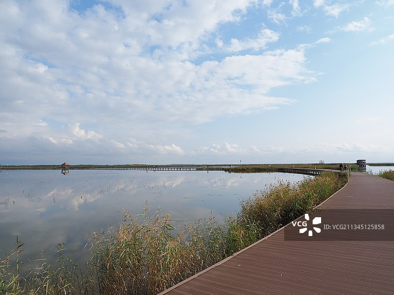 富锦湿地观景栈道图片素材