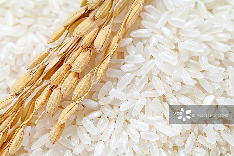 粮食大米粒特写图片素材