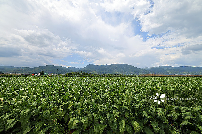 云南剑川县的田地图片素材