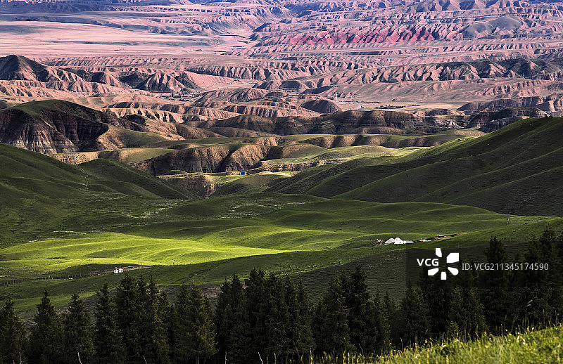 夏季牧场— S101 鹿角湾图片素材