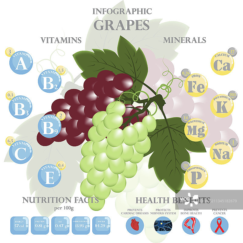 葡萄的健康益处与营养成分图片素材