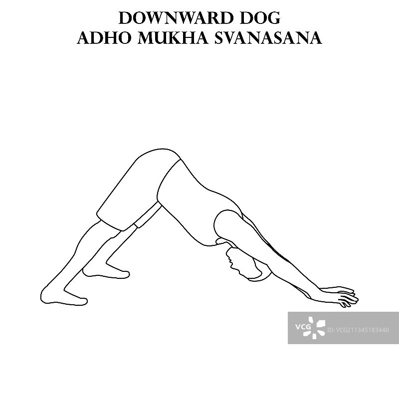 下犬式瑜伽锻炼图片素材