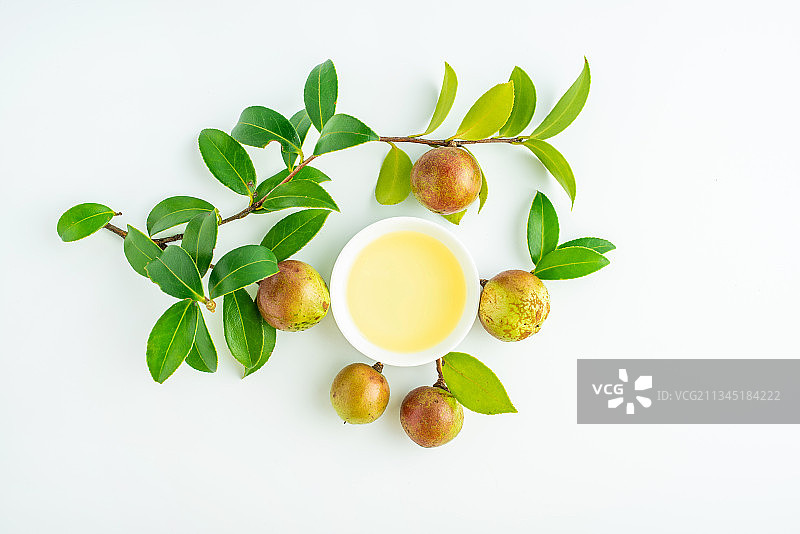 白背景上的油茶果和茶籽油图片素材