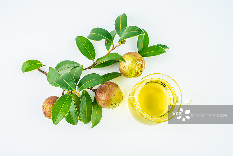 白背景上的油茶果和茶籽油图片素材