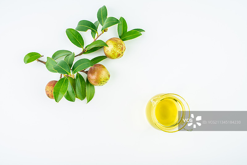 白背景上的油茶果和茶籽油图片素材