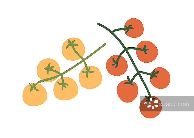 新鲜樱桃番茄枝条小蔬菜图片素材