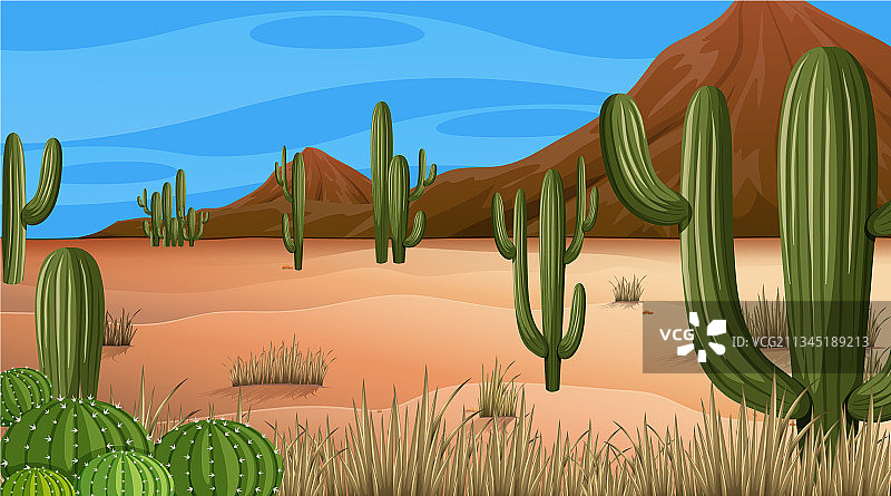 白天场景的沙漠森林景观图片素材