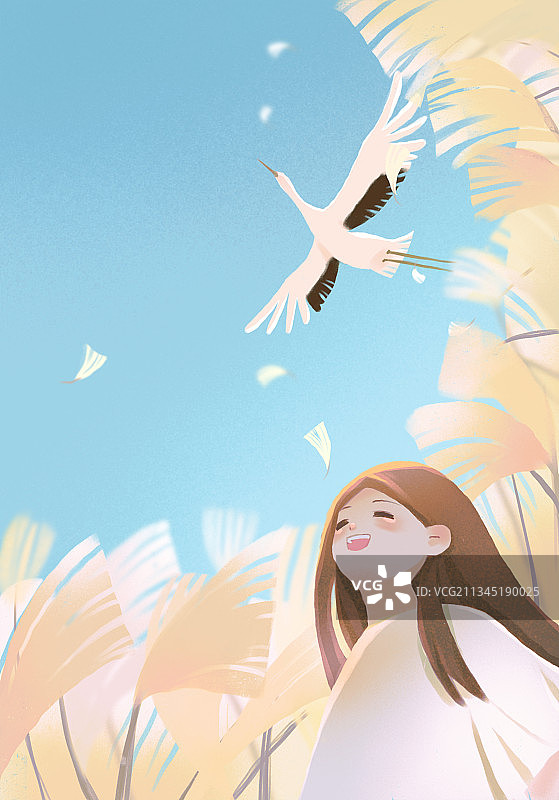 插画白露节气图片素材