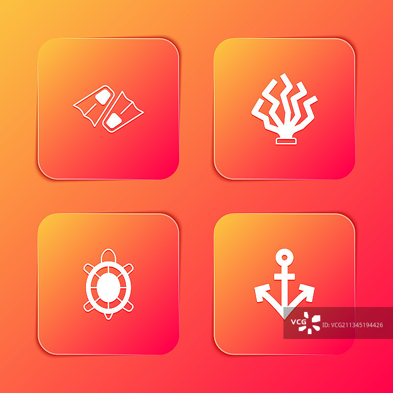 游泳脚蹼、珊瑚、海龟套装图片素材