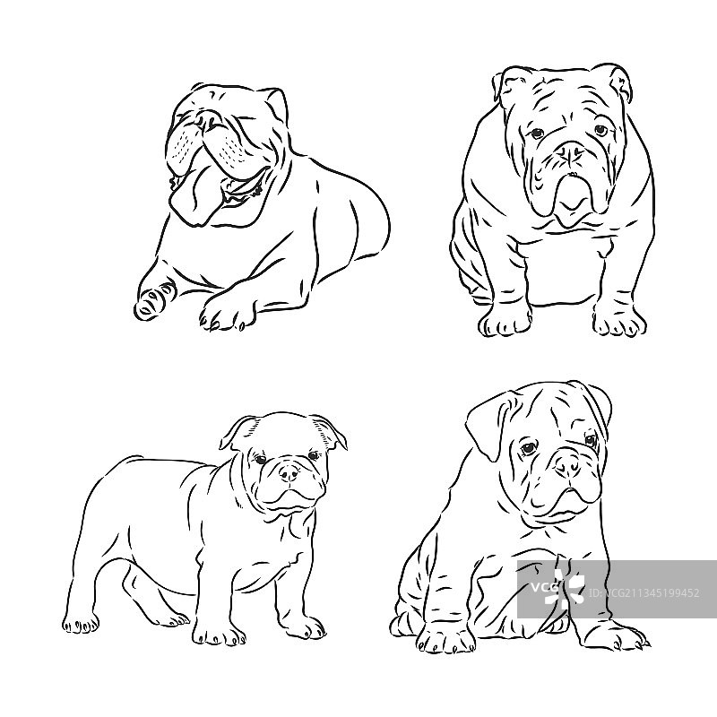 斗牛犬涂鸦贴纸图片素材