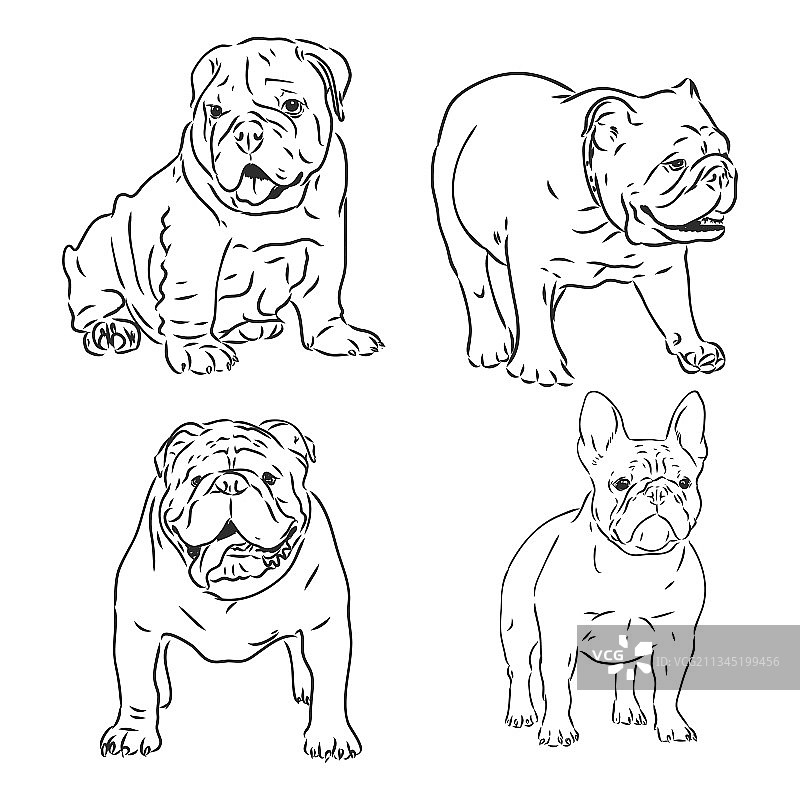 斗牛犬涂鸦贴纸图片素材