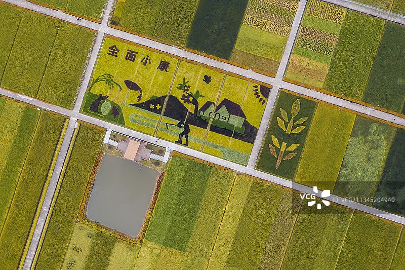 希望的田野图片素材