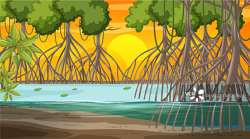 日落时分的红树林景观图片素材
