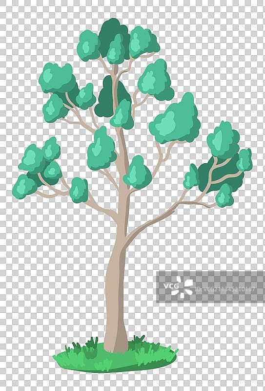 树木手绘免扣图片图片素材