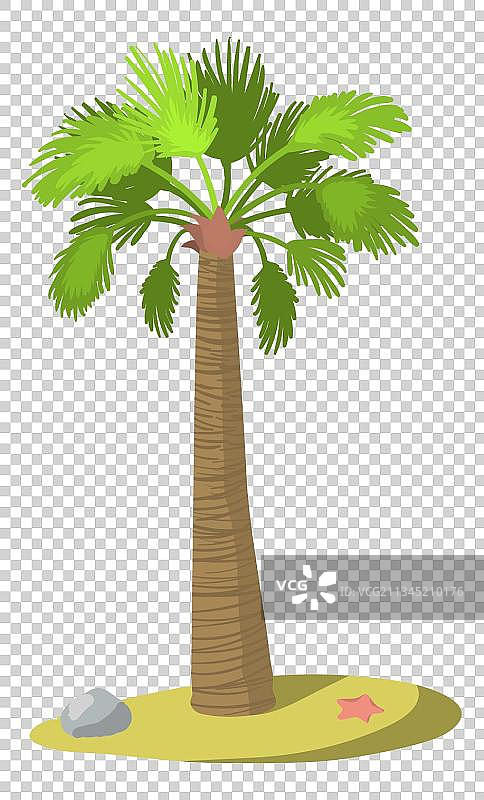 海藻树插画元素图片素材