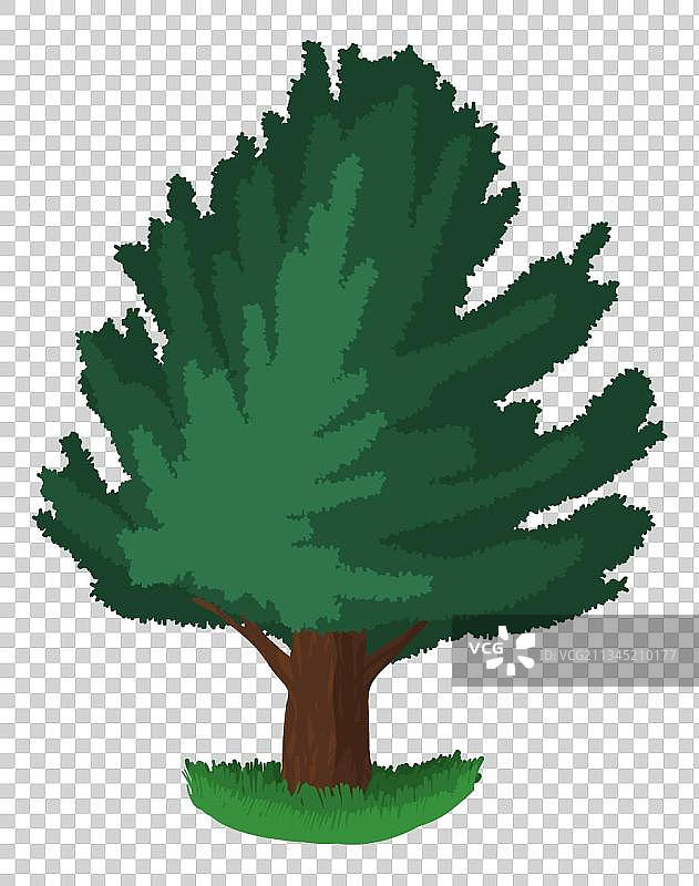 参天大树手绘免扣图片图片素材