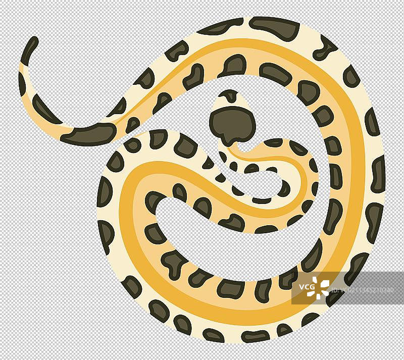 金环蛇免抠素材图片素材