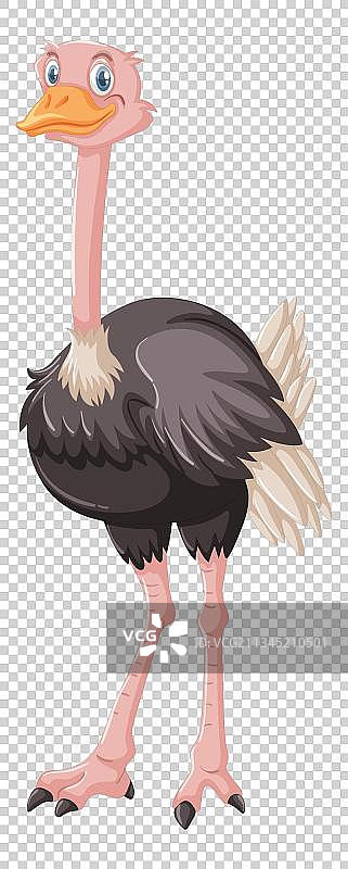 卡通鸵鸟免抠元素图片素材