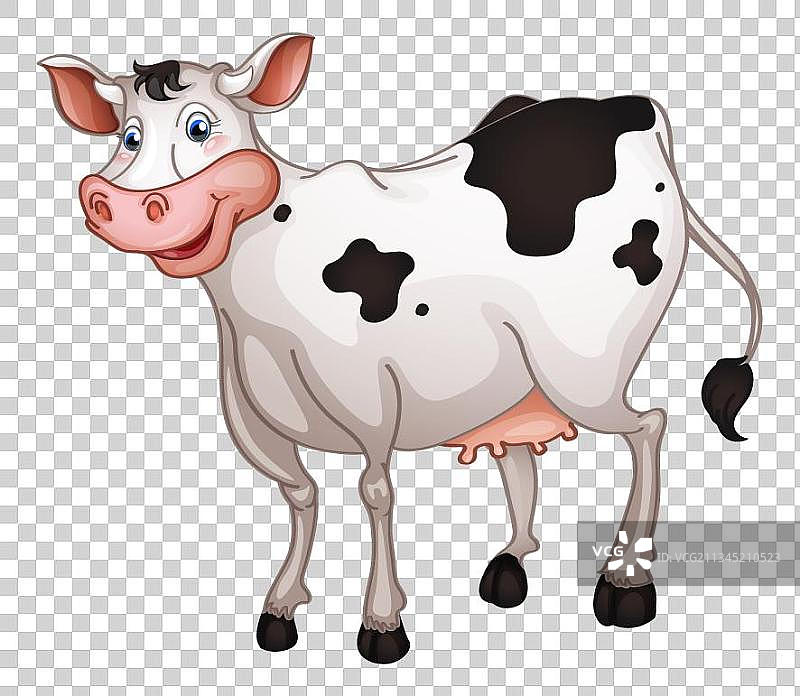 奶牛免抠图图片素材