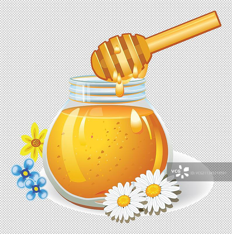 蜂蜜槐花蜜插画图片素材