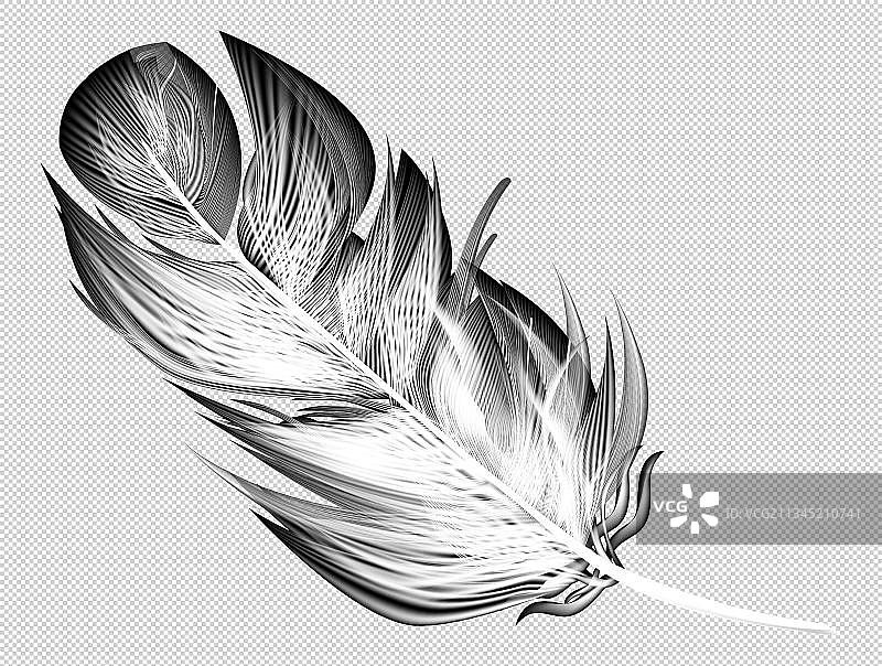 一根羽毛免抠图图片素材