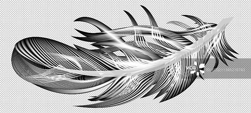 羽毛免抠图素材图片素材