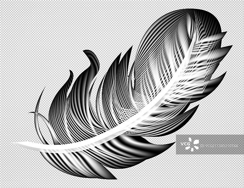 羽毛黑白稿免抠图图片素材