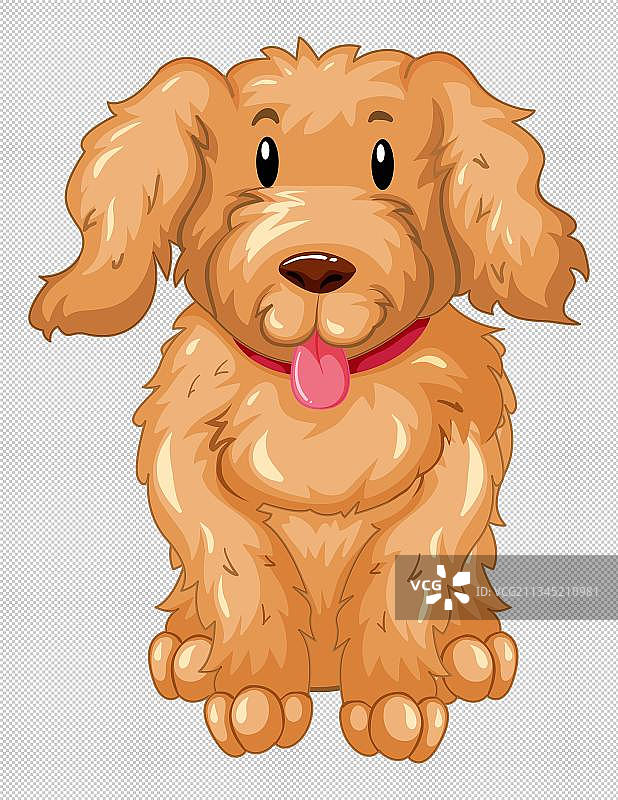 手绘卡通宠物泰迪犬图片素材