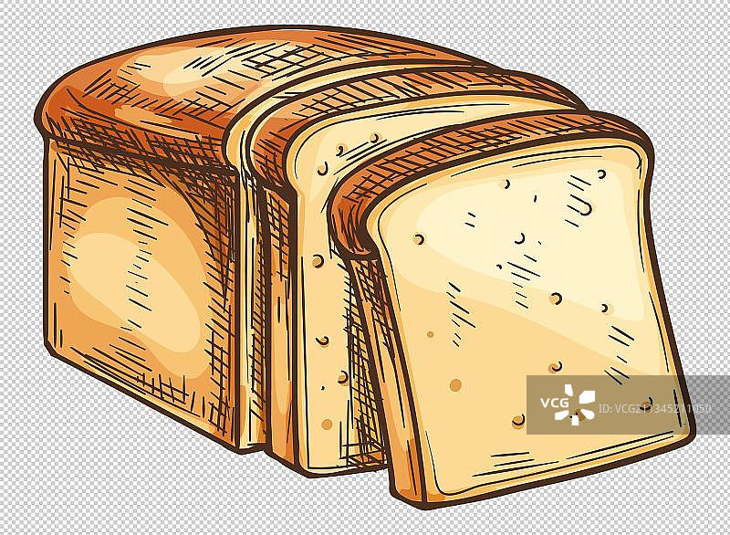 全麦吐司切片插画图片素材